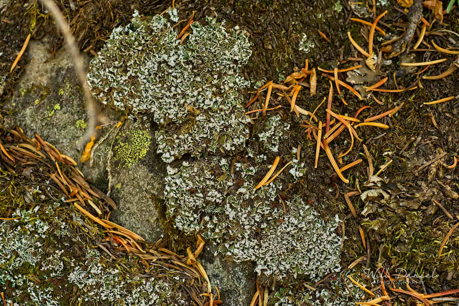 Rocky Mountain National Park 711137