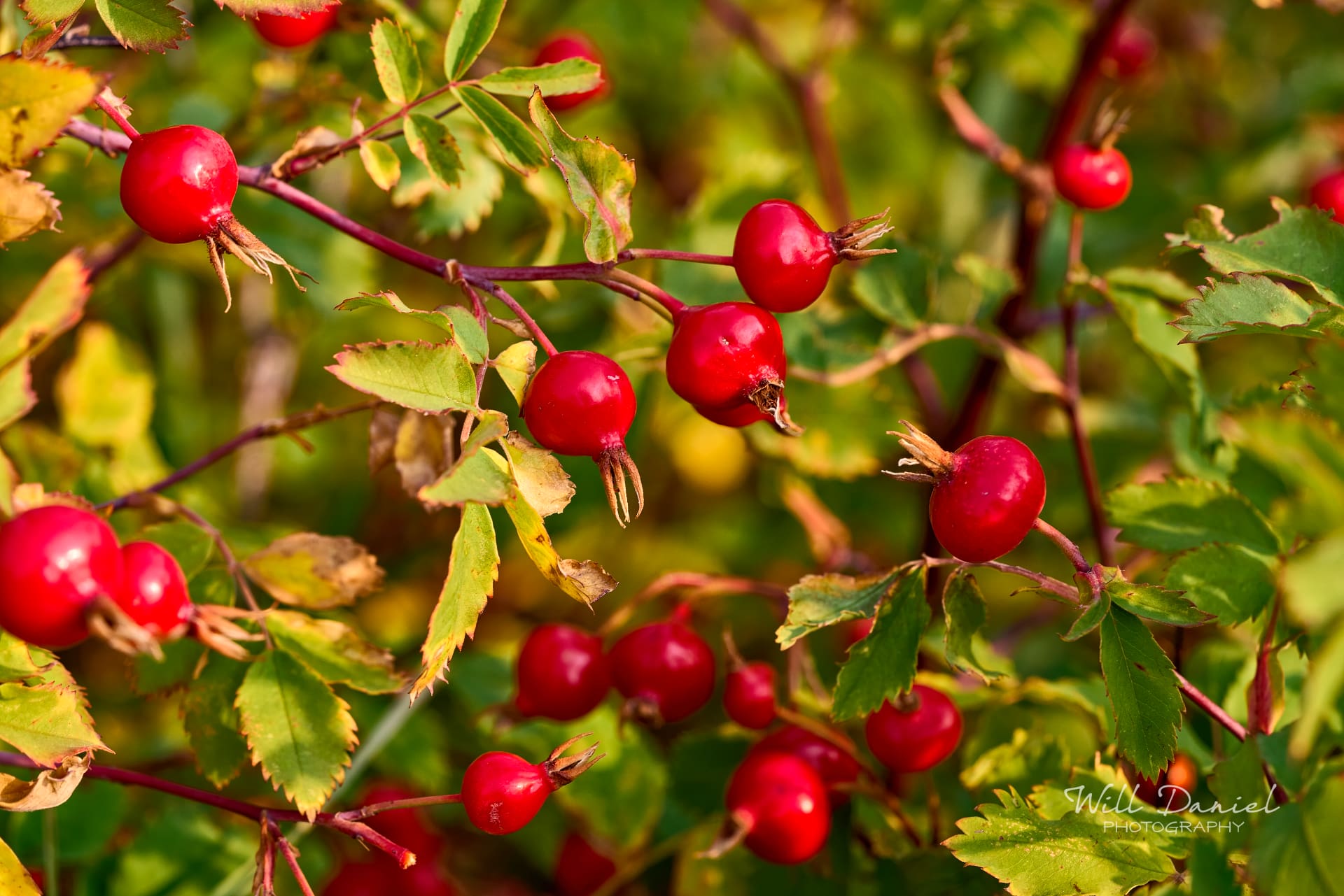 Rocky Mountain National Park 722691