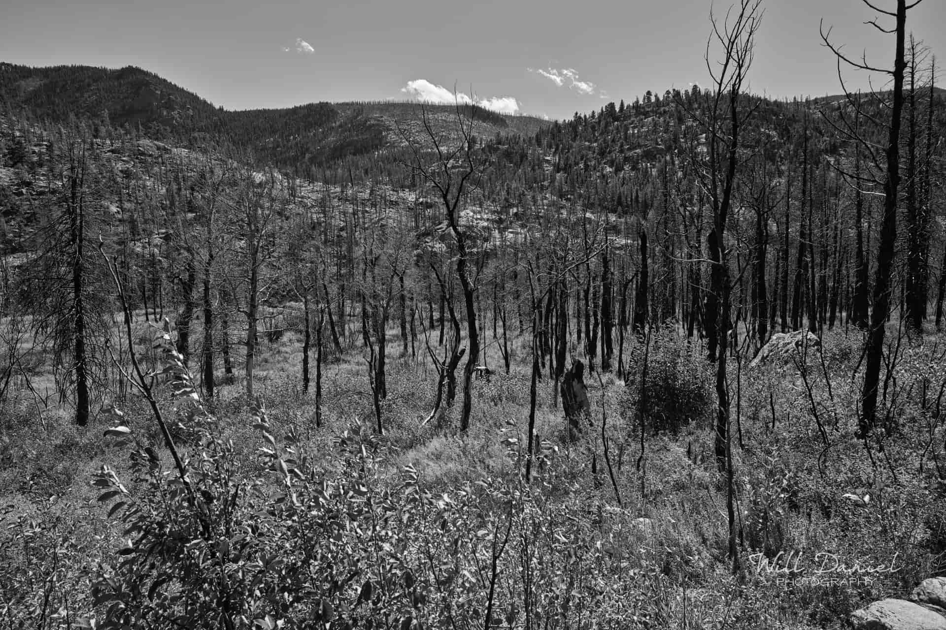 Rocky Mountain National Park 503229
