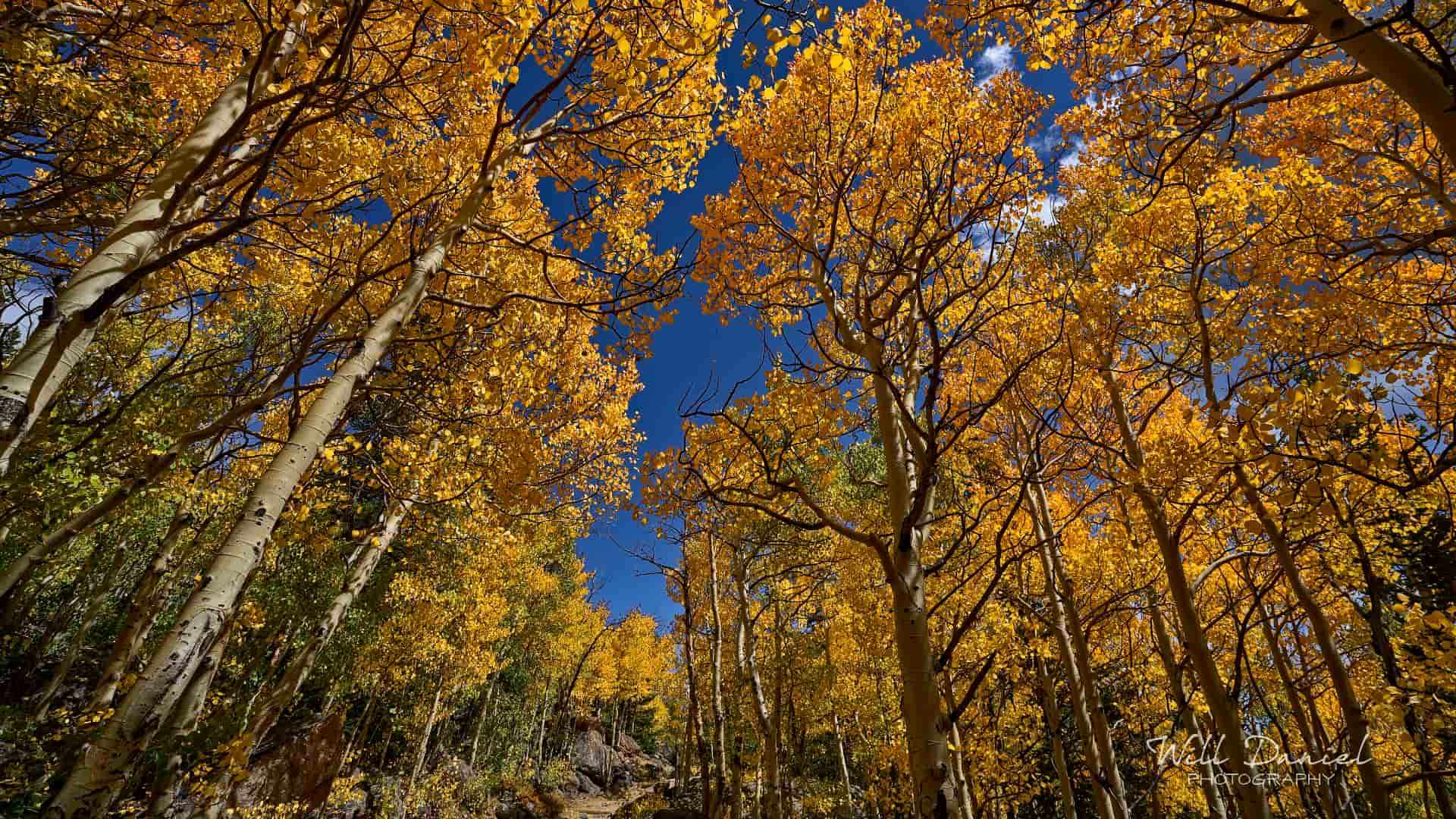Rocky Mountain National Park trail photo