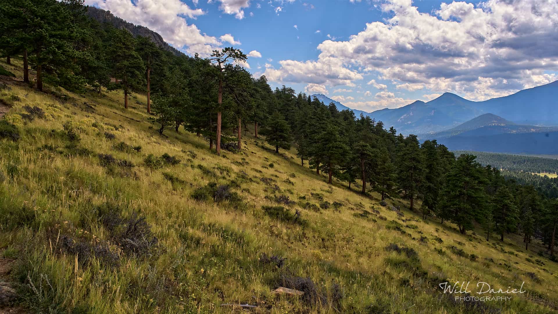 Rocky Mountain National Park trail photo