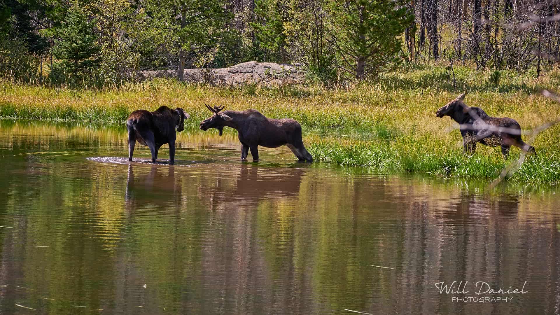 Rocky Mountain National Park trail photo