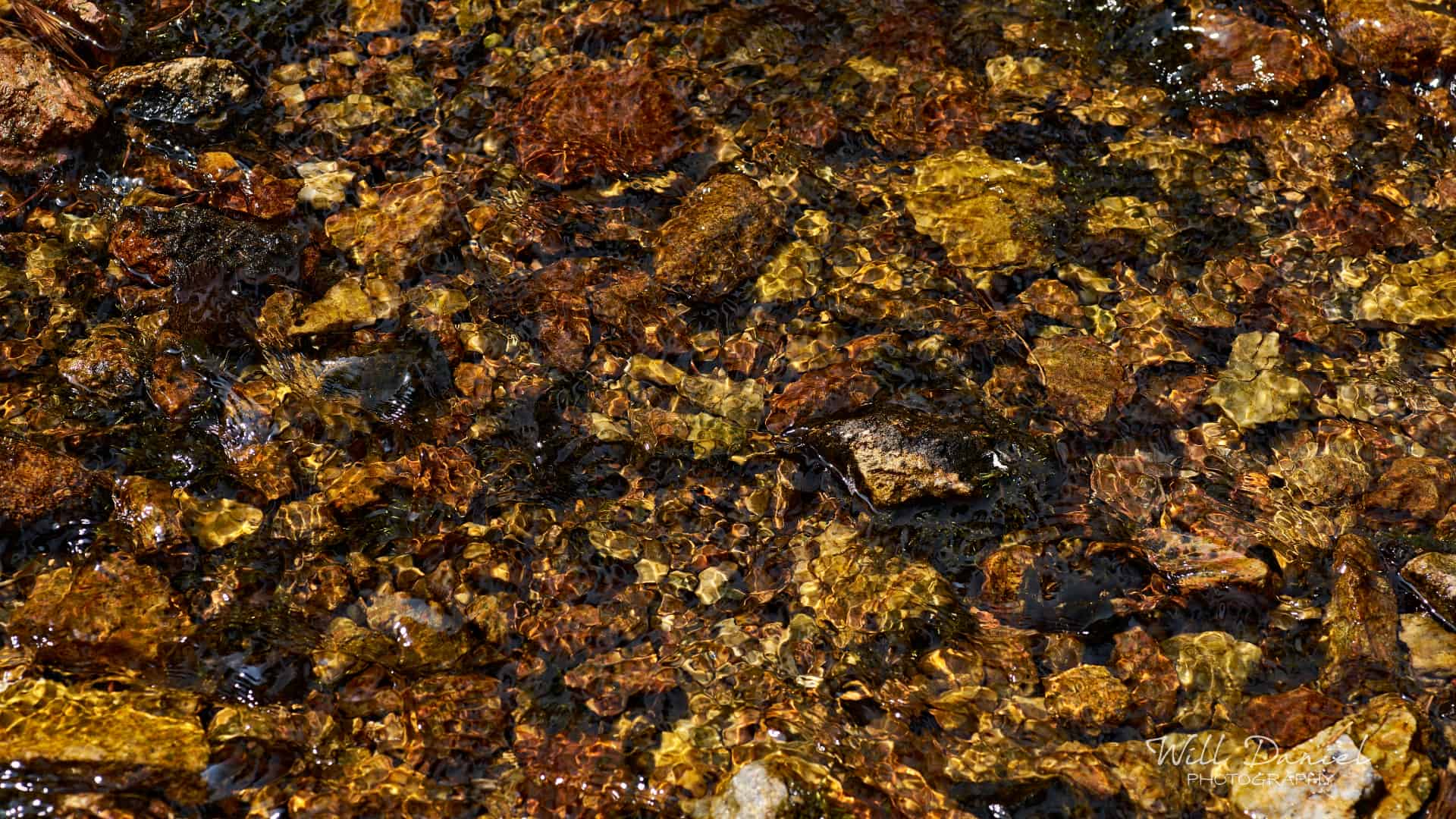 Rocky Mountain National Park trail photo
