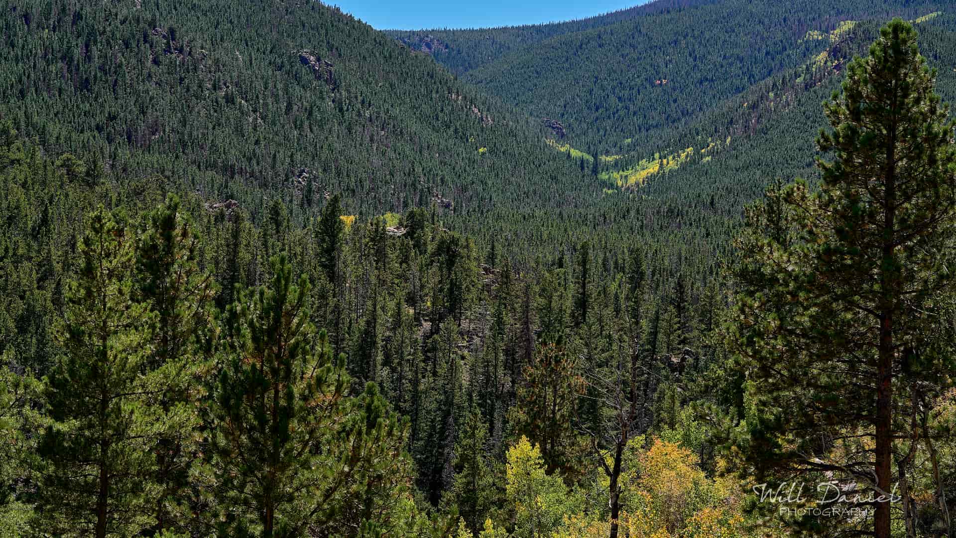Rocky Mountain National Park trail photo
