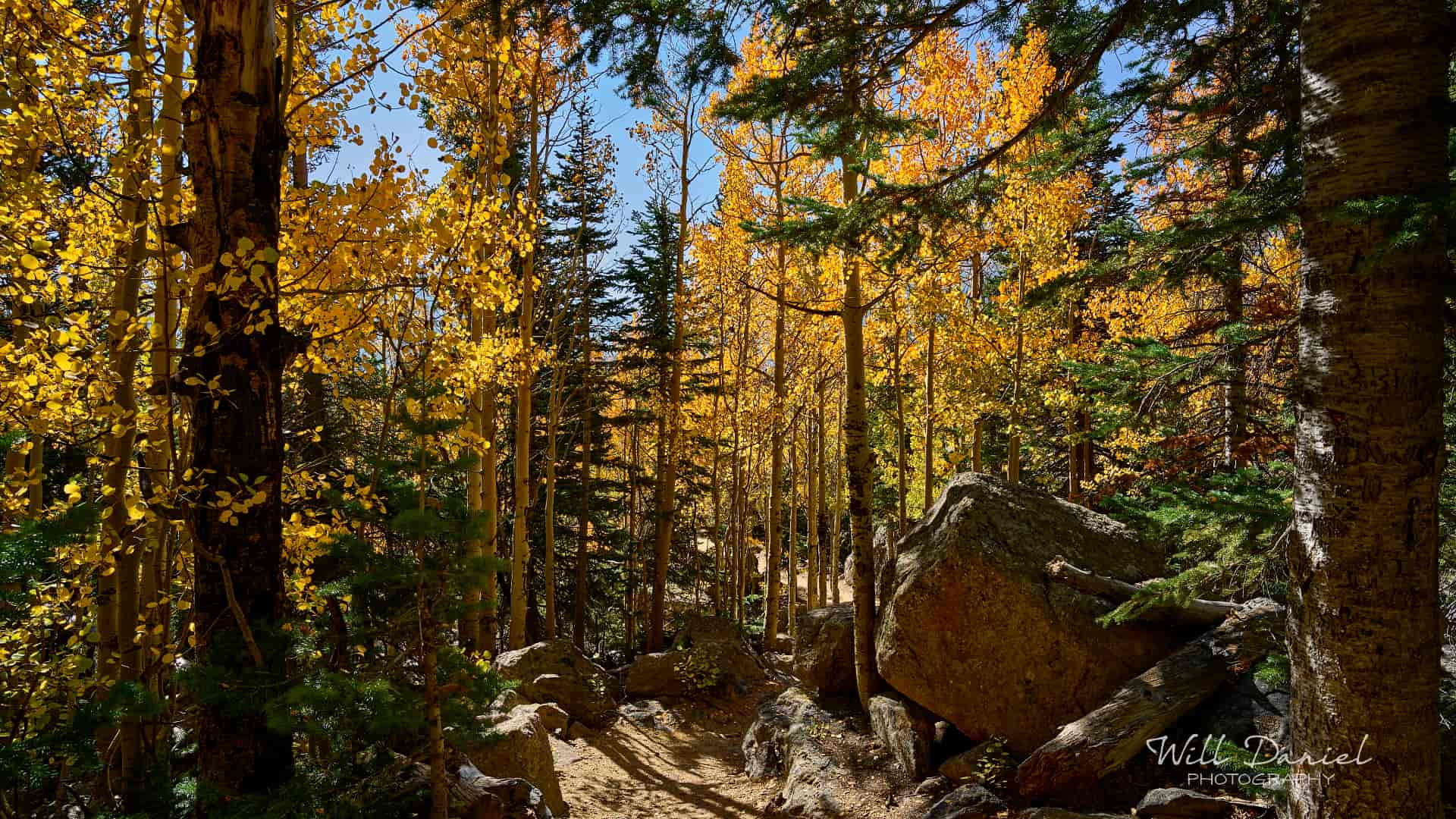 Rocky Mountain National Park trail photo