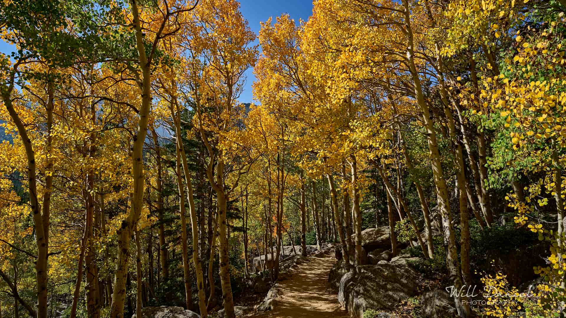 Rocky Mountain National Park trail photo