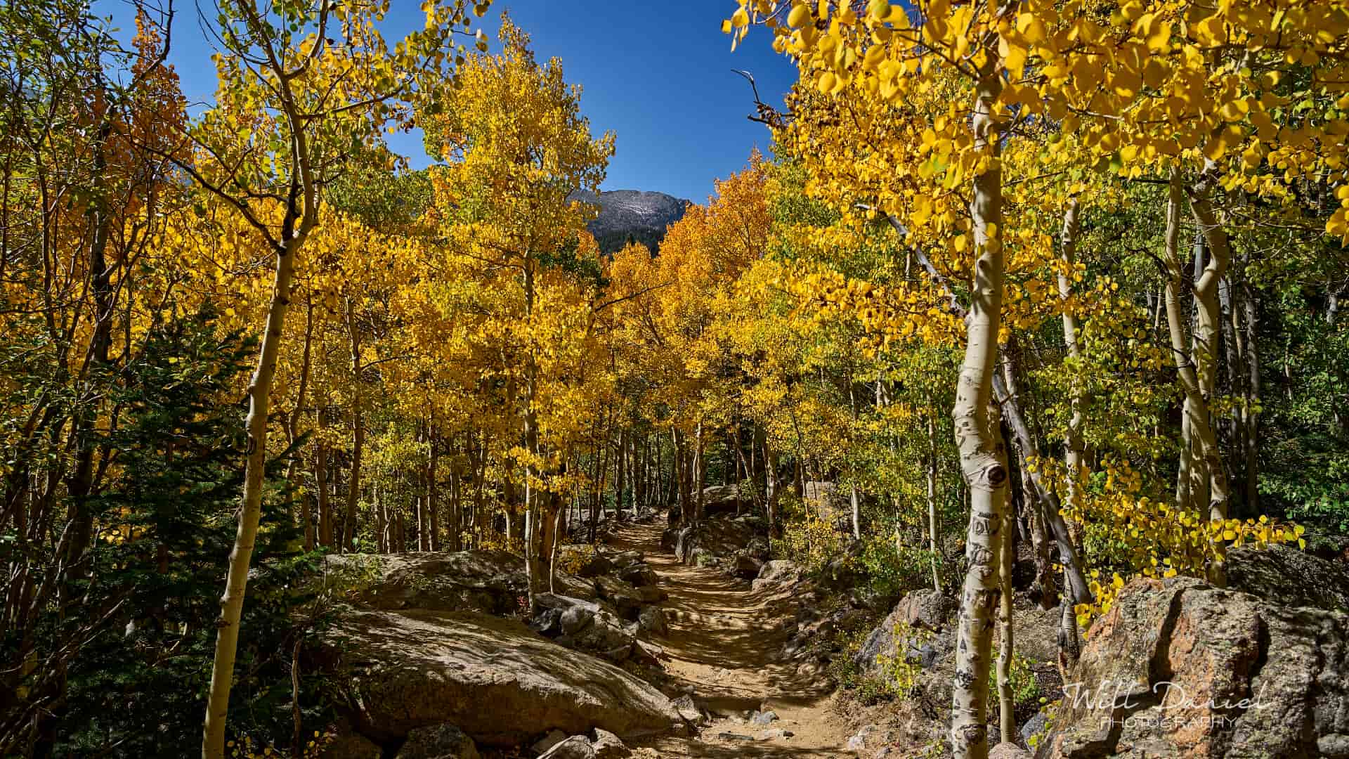 Rocky Mountain National Park trail photo