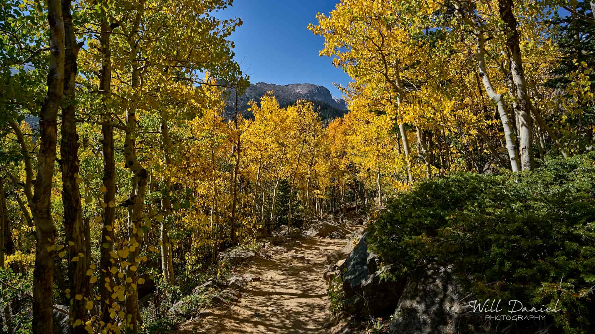 Rocky Mountain National Park trail photo