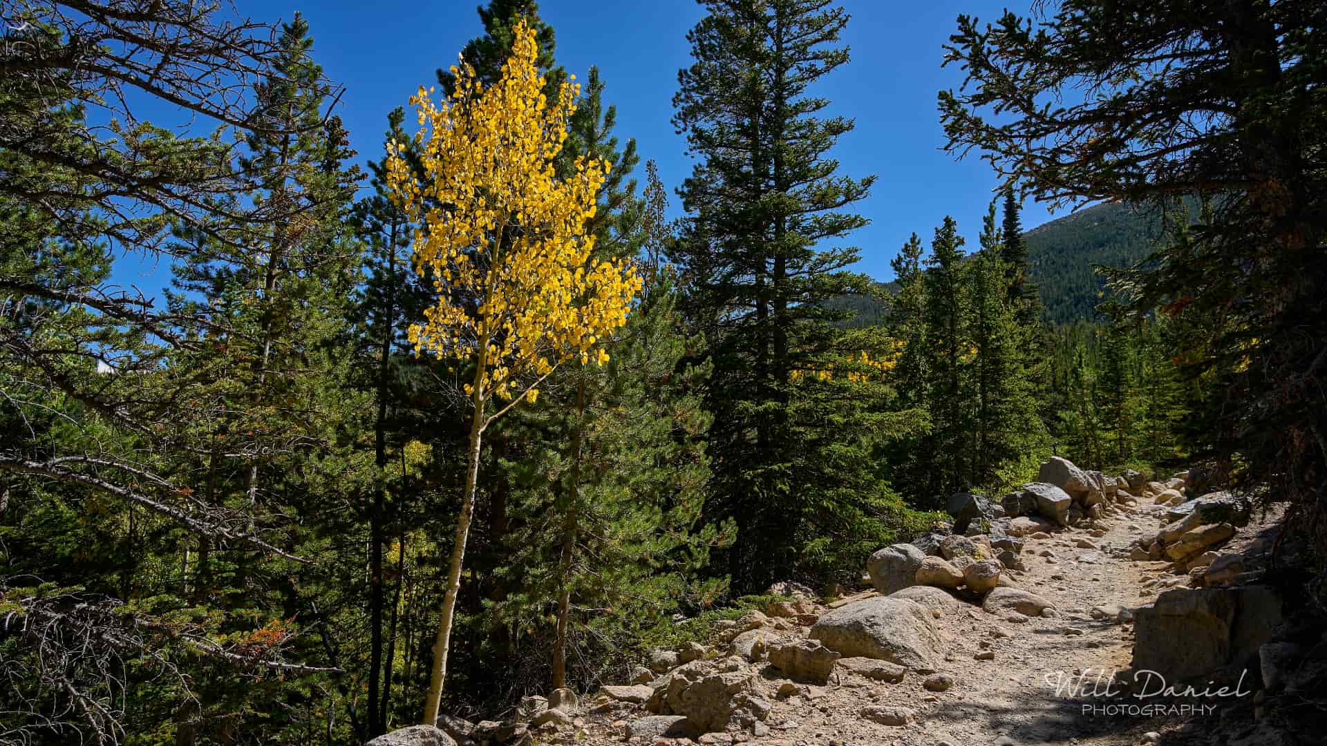 Rocky Mountain National Park trail photo