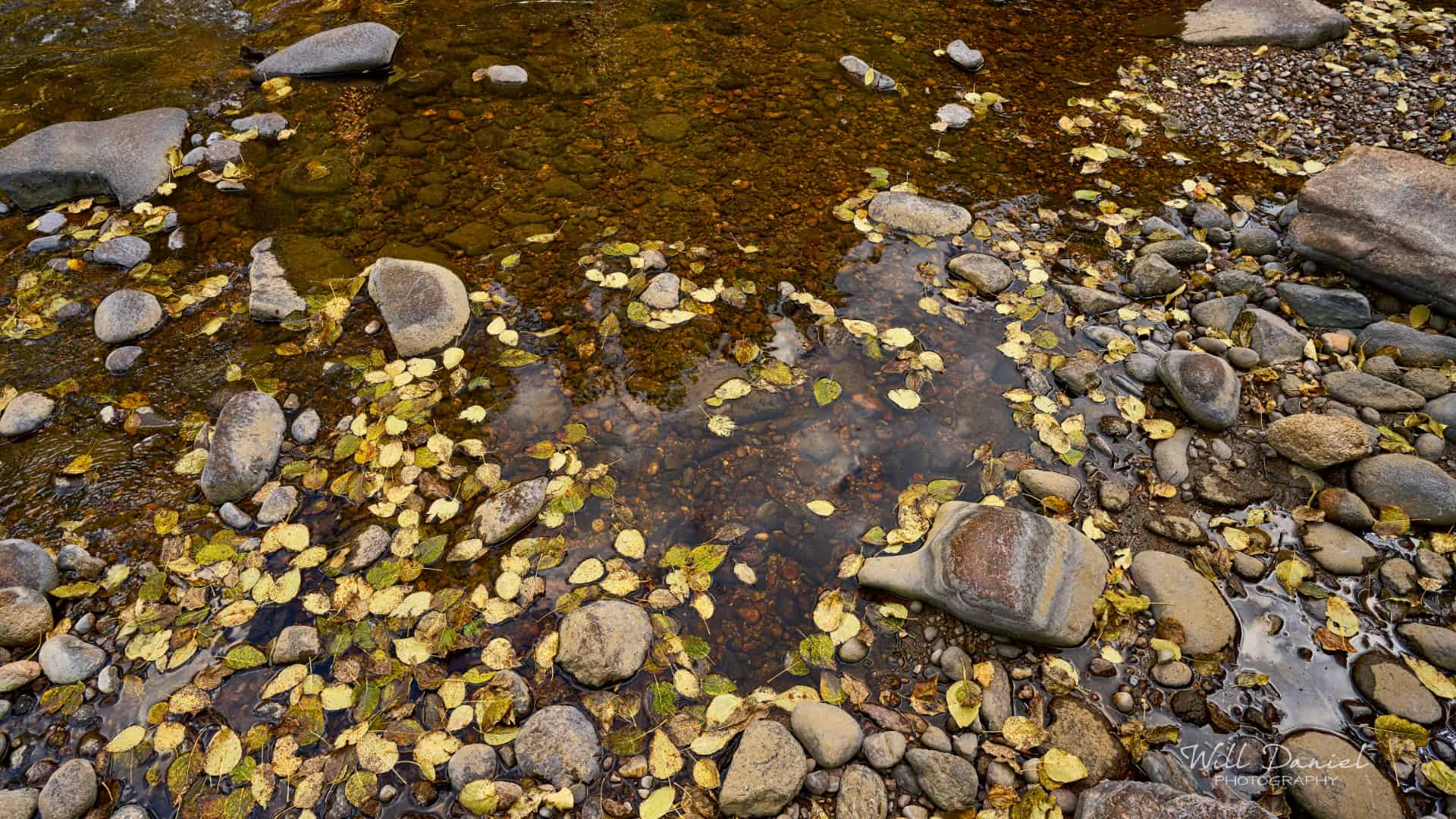 Rocky Mountain National Park trail photo