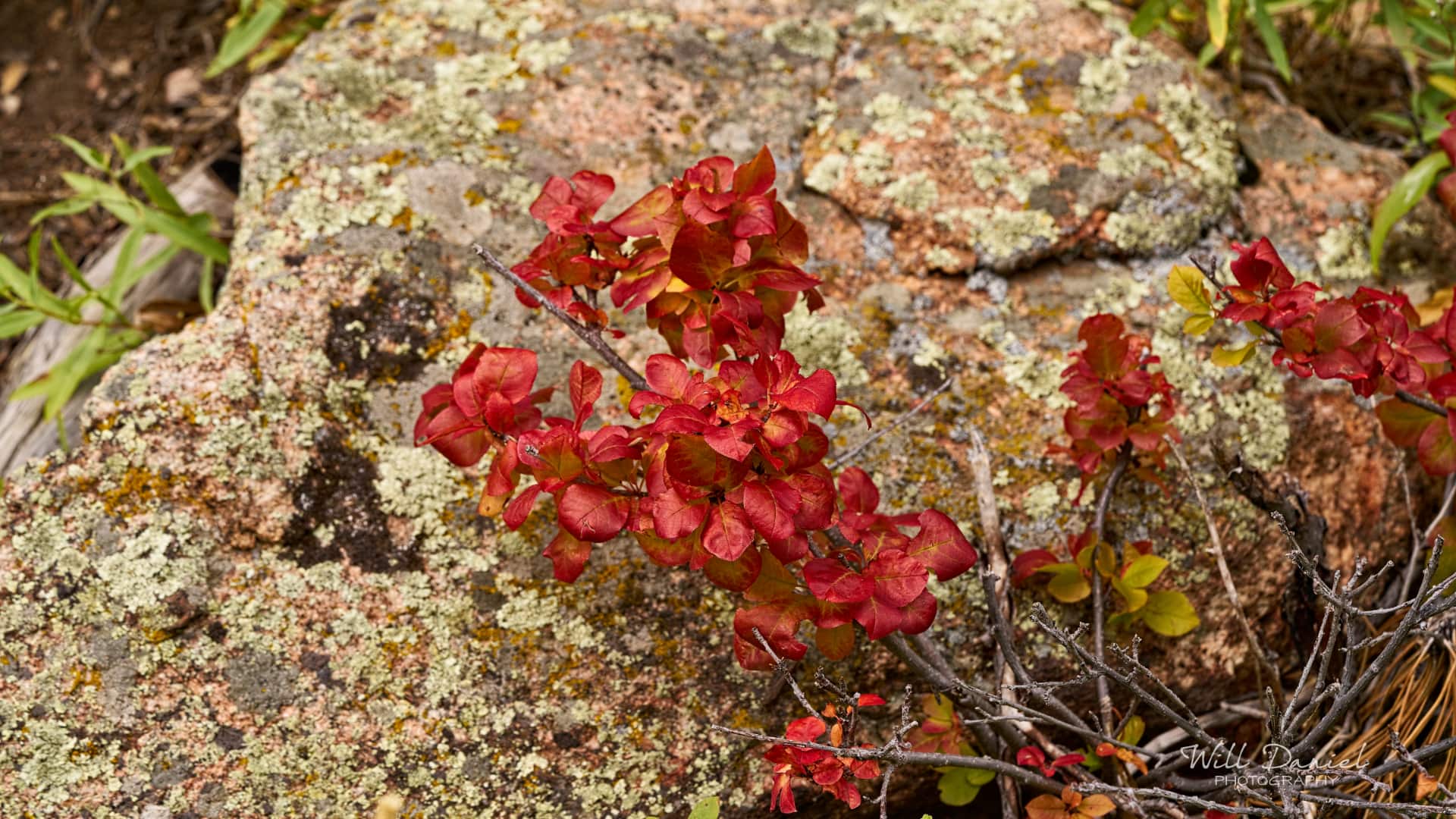 Rocky Mountain National Park trail photo