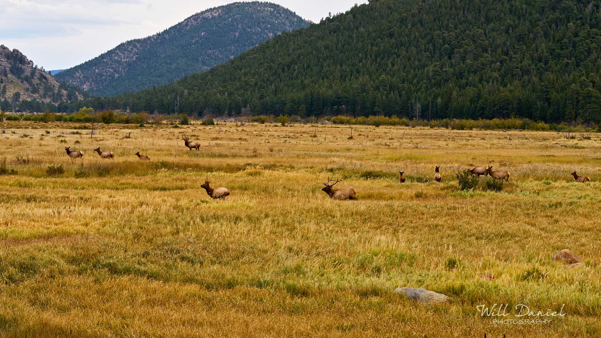 Rocky Mountain National Park trail photo