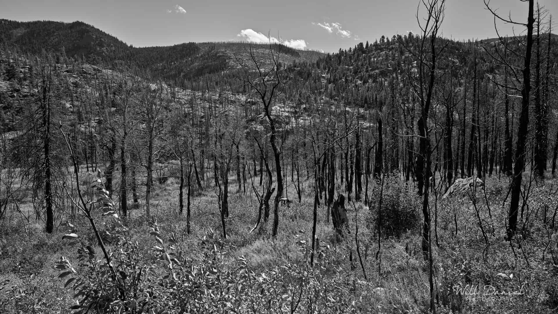 Rocky Mountain National Park trail photo