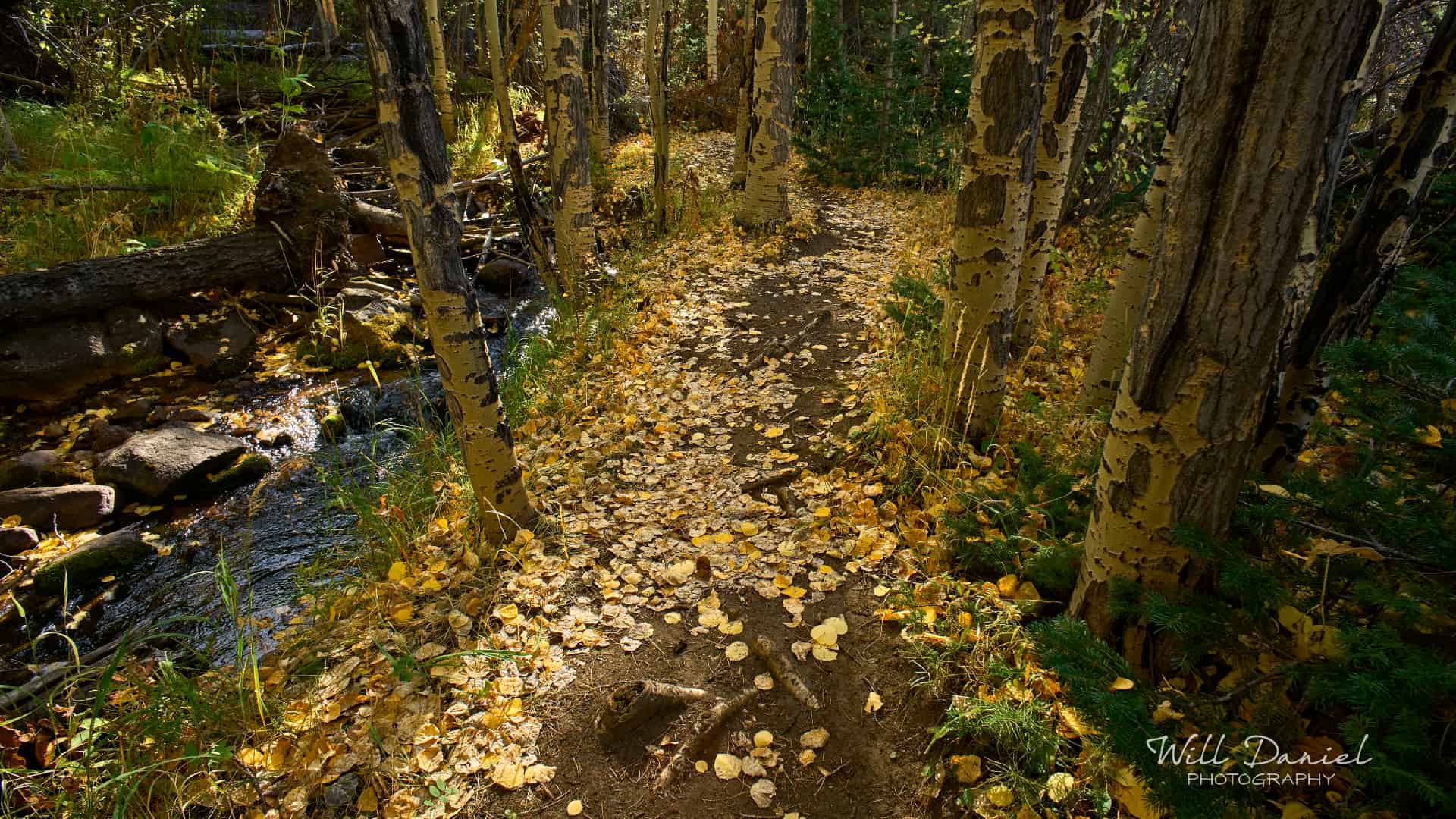 Rocky Mountain National Park trail photo
