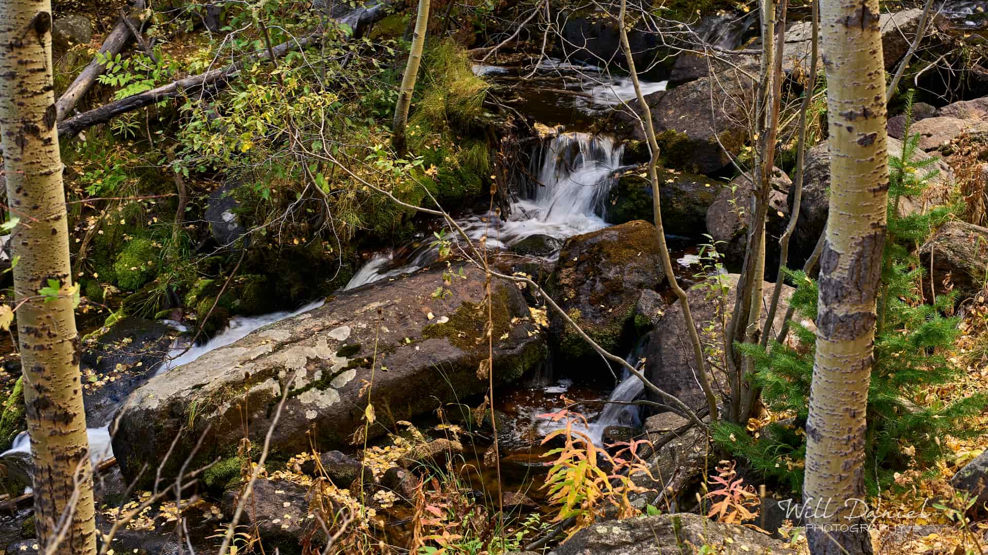 Rocky Mountain National Park trail photo