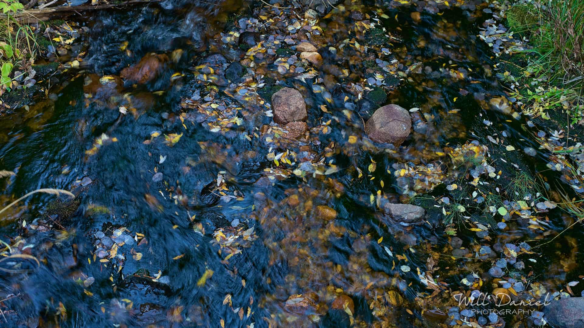 Rocky Mountain National Park trail photo