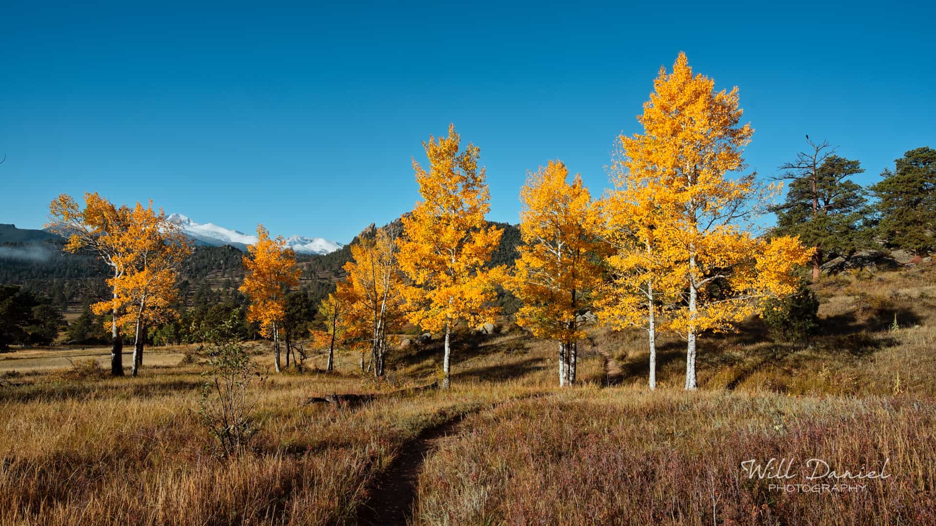 Rocky Mountain National Park trail photo