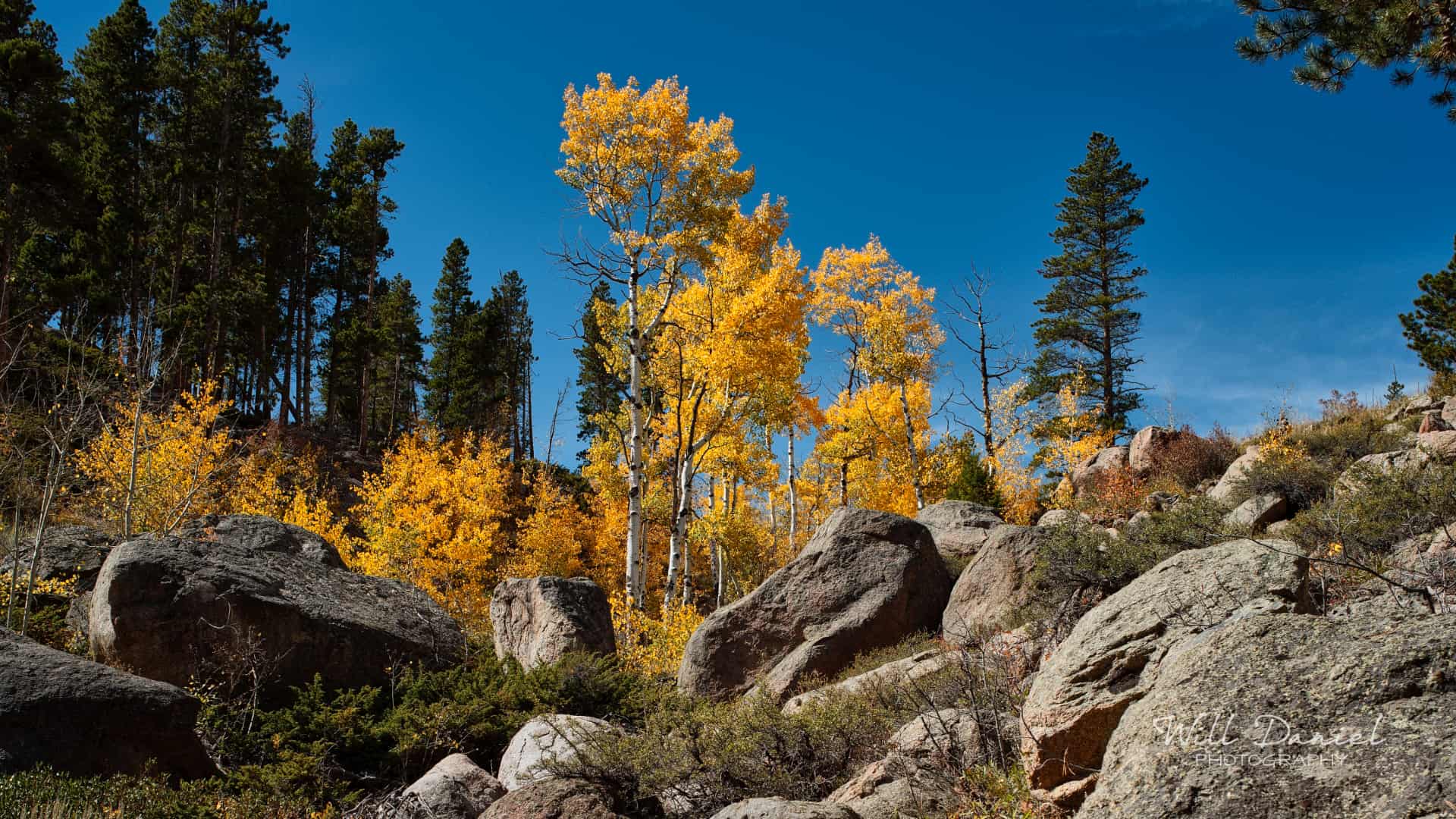 Rocky Mountain National Park trail photo