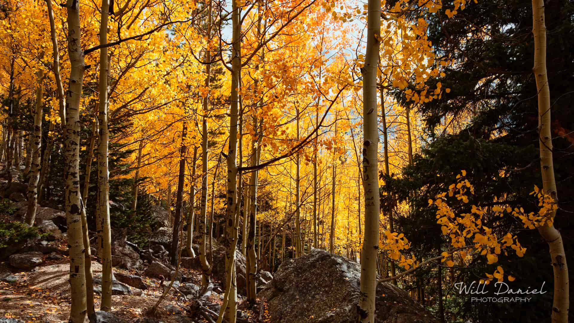 Rocky Mountain National Park trail photo