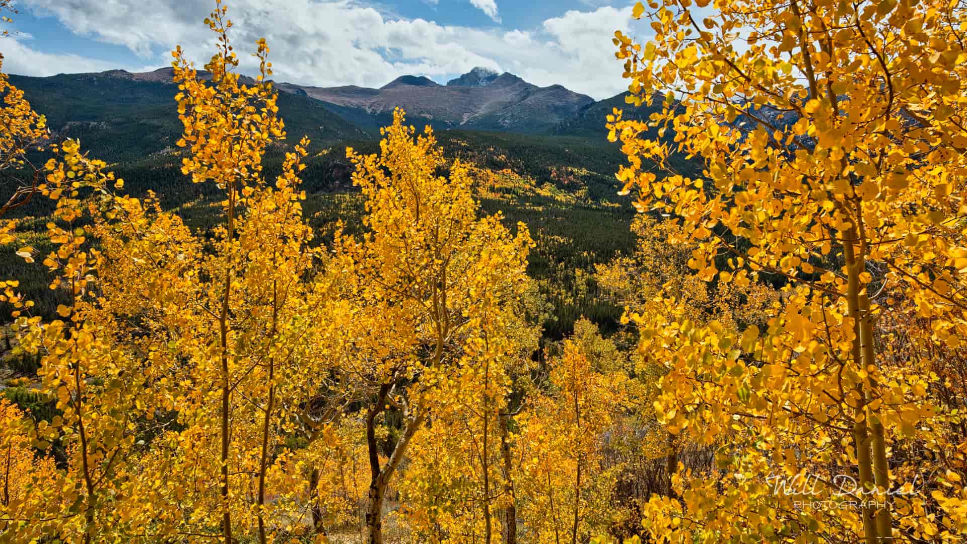 Rocky Mountain National Park trail photo