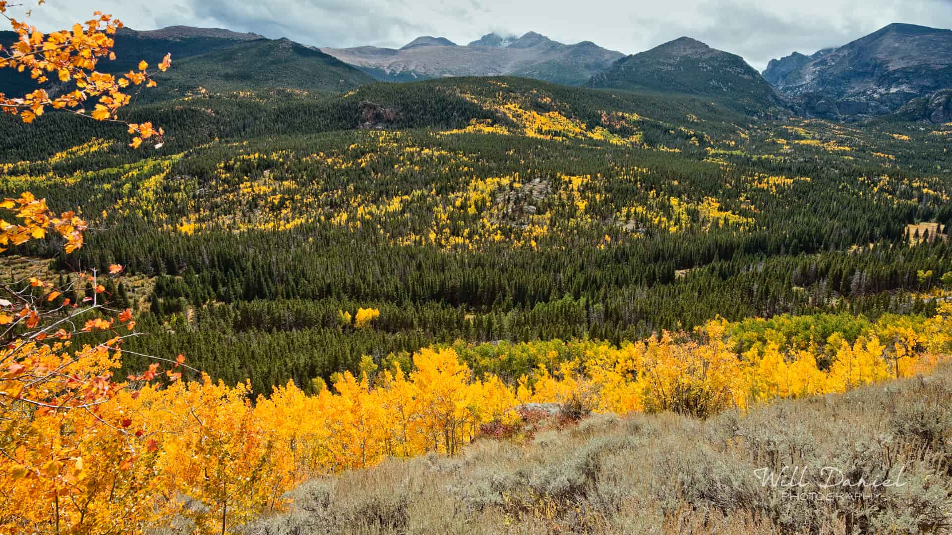 Rocky Mountain National Park trail photo