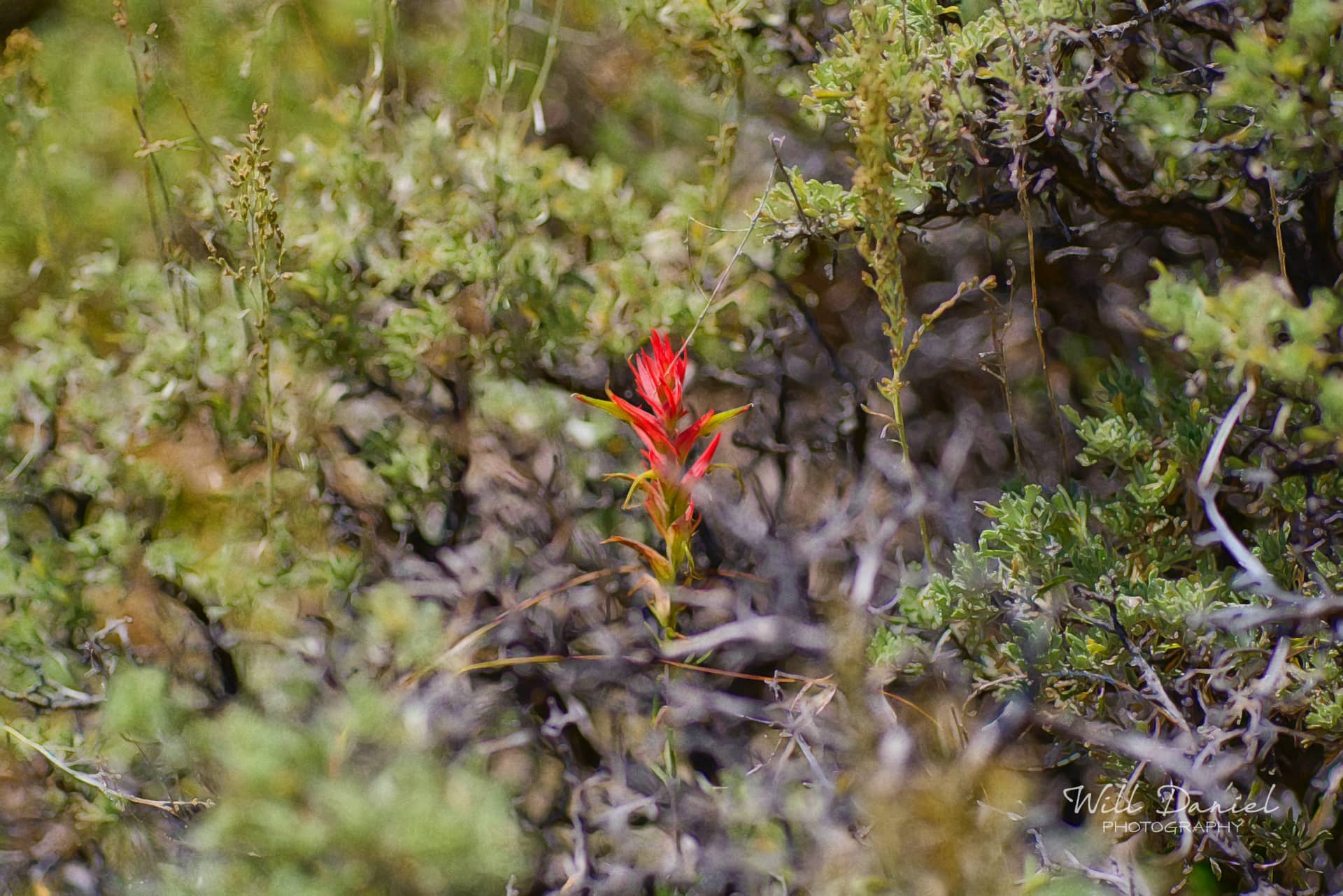 Rocky Mountain National Park 720253_S1