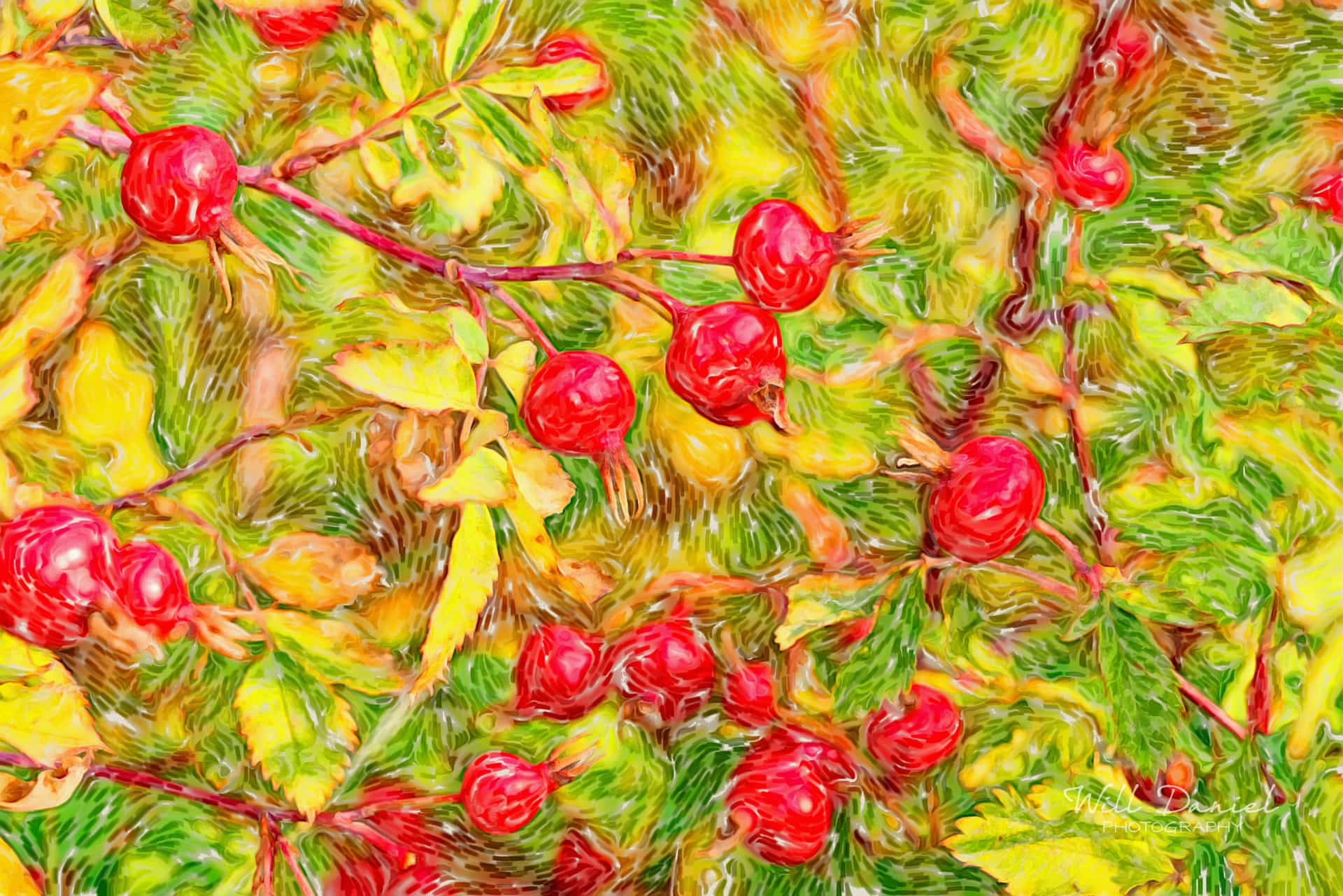 Rocky Mountain National Park 722691_E7