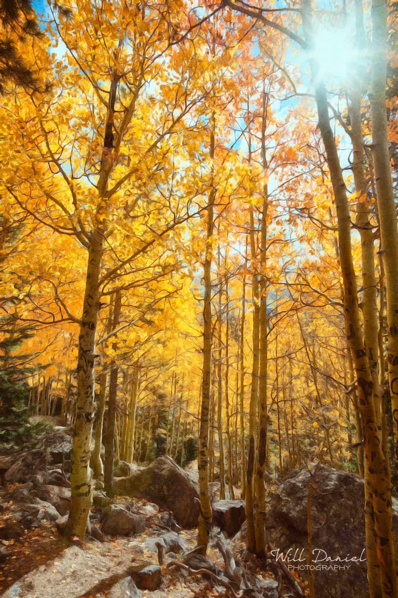 Rocky Mountain National Park 59600-S3A