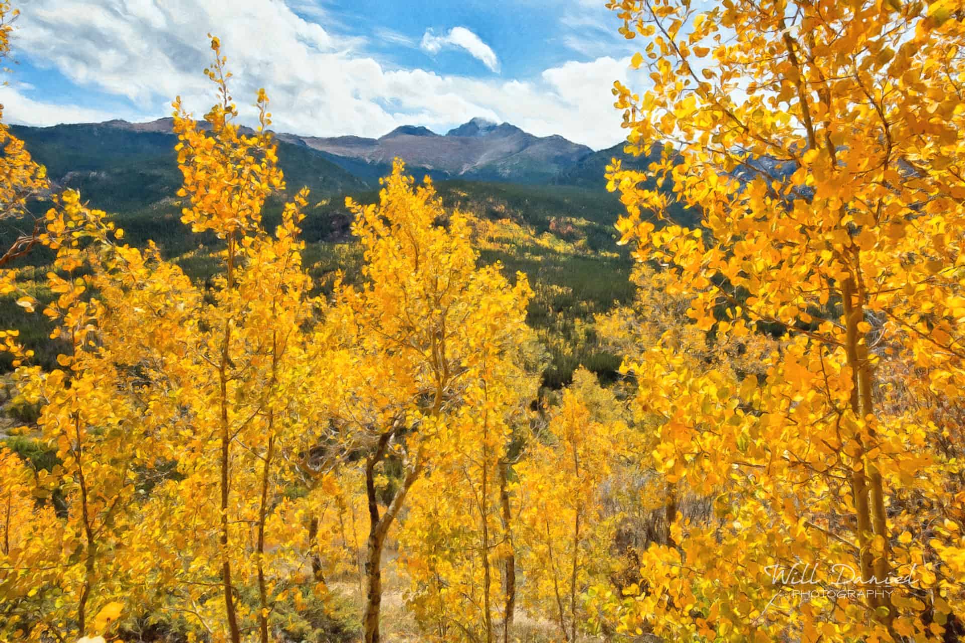 Rocky Mountain National Park 59808-O4