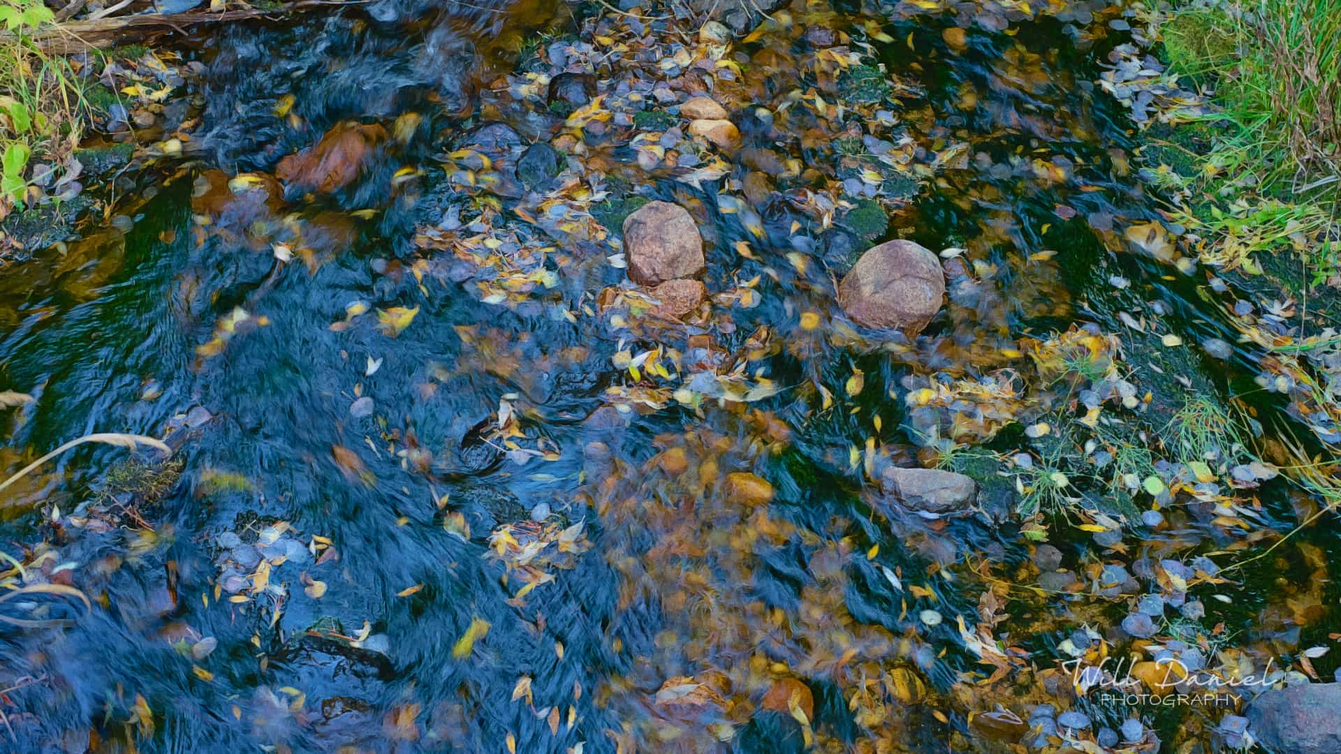 Colorado Remix Photos