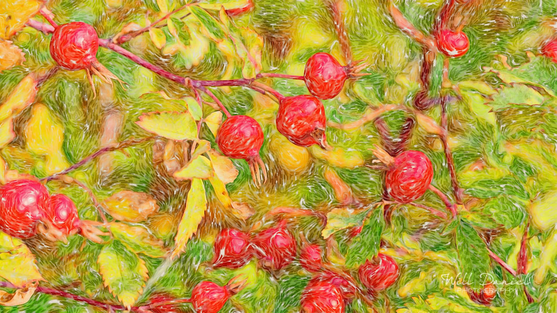 Colorado Remix Photos