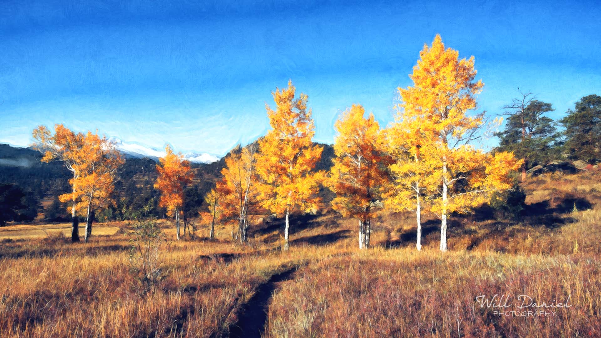 Colorado Remix Photos