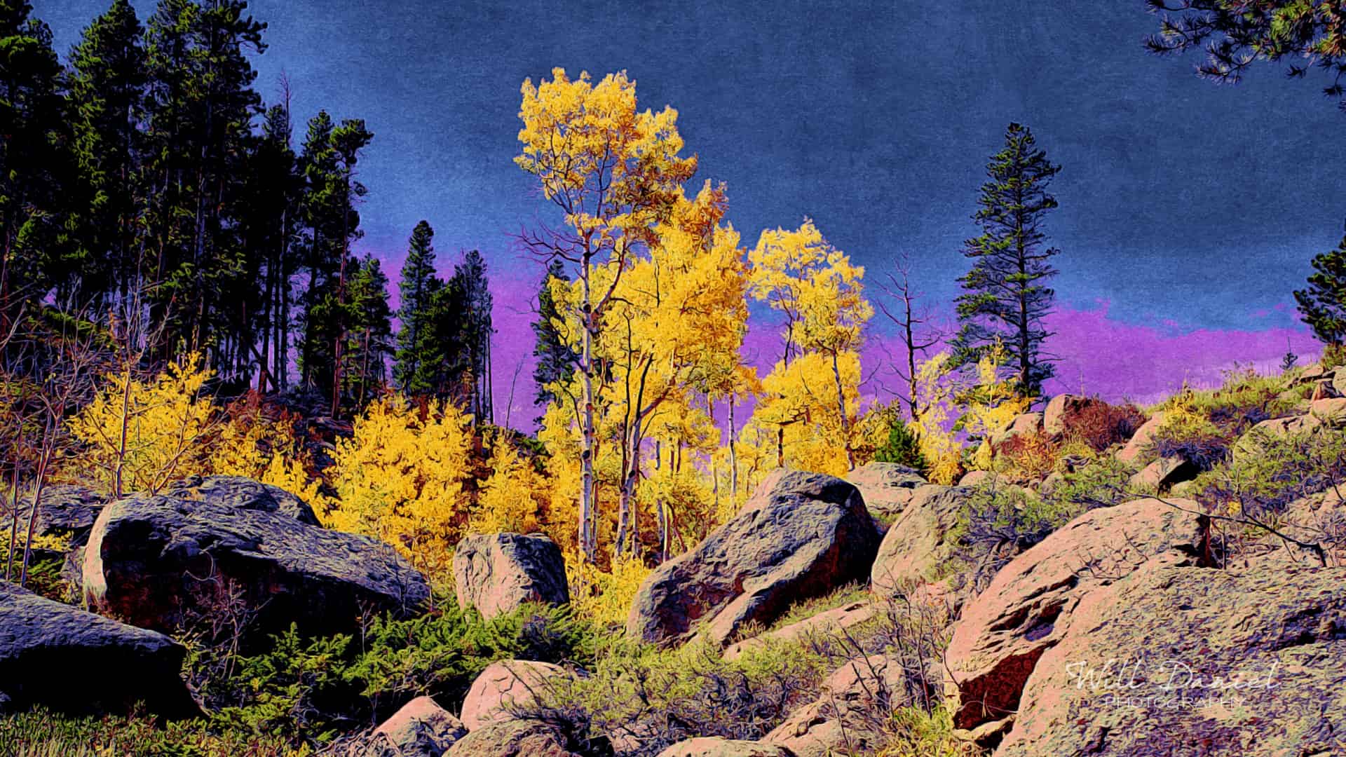 Colorado Remix Photos