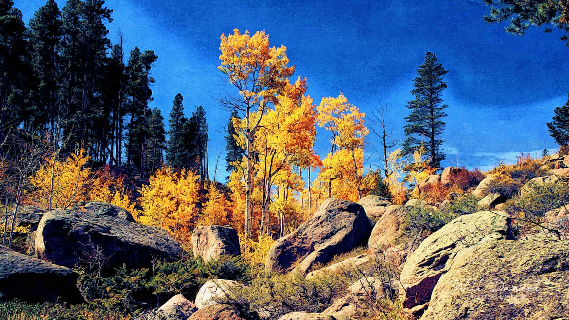 Colorado Remix Photos