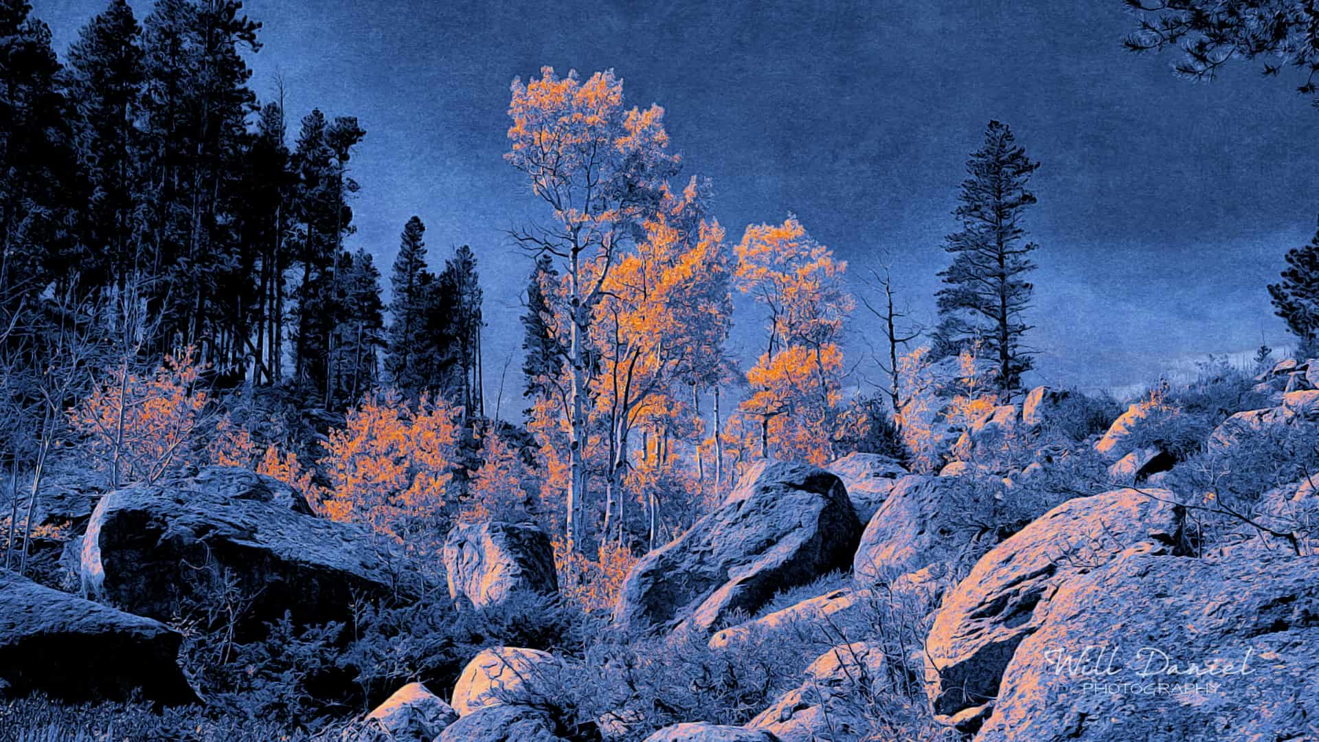Colorado Remix Photos