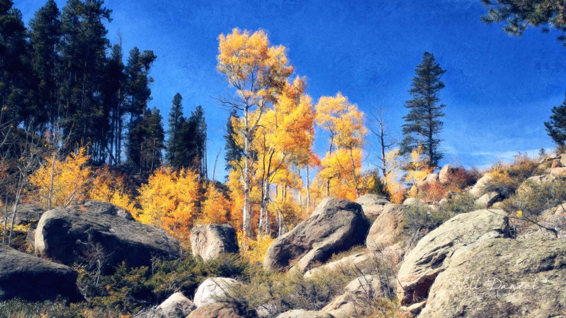 Colorado Remix Photos