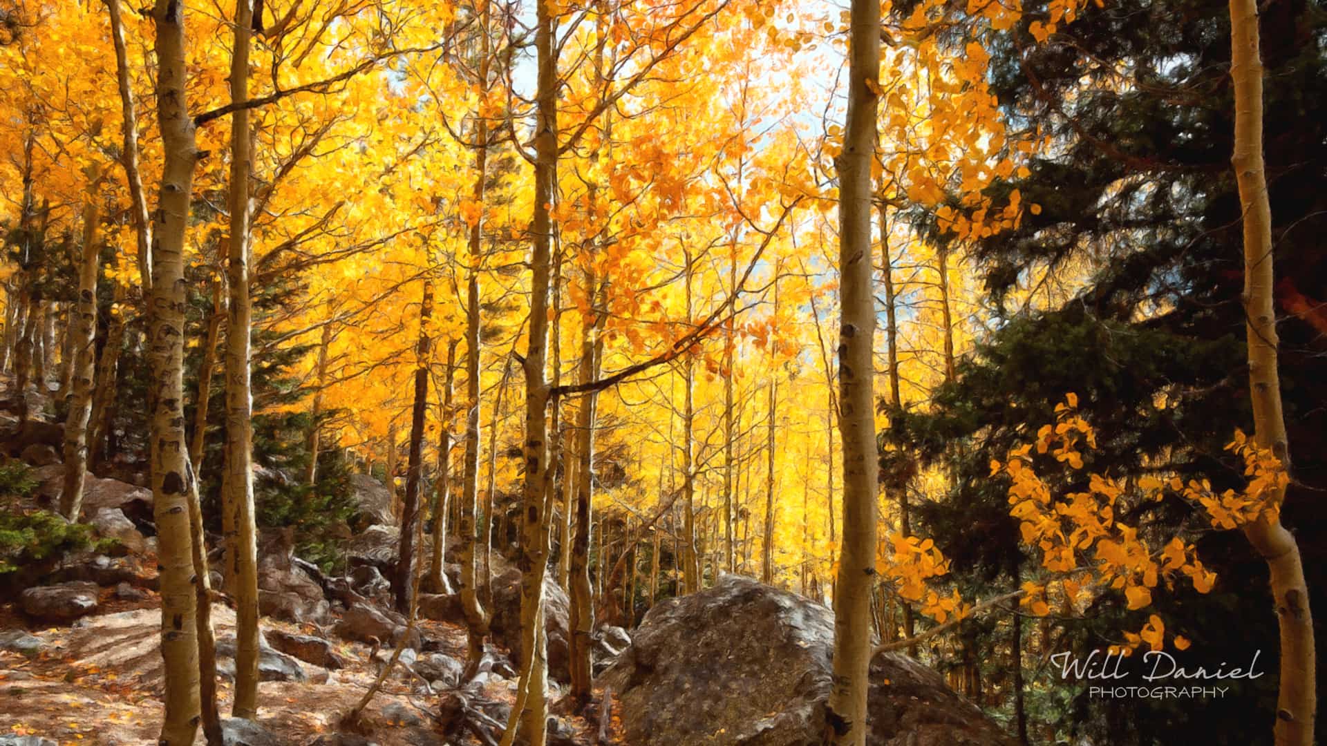 Colorado Remix Photos