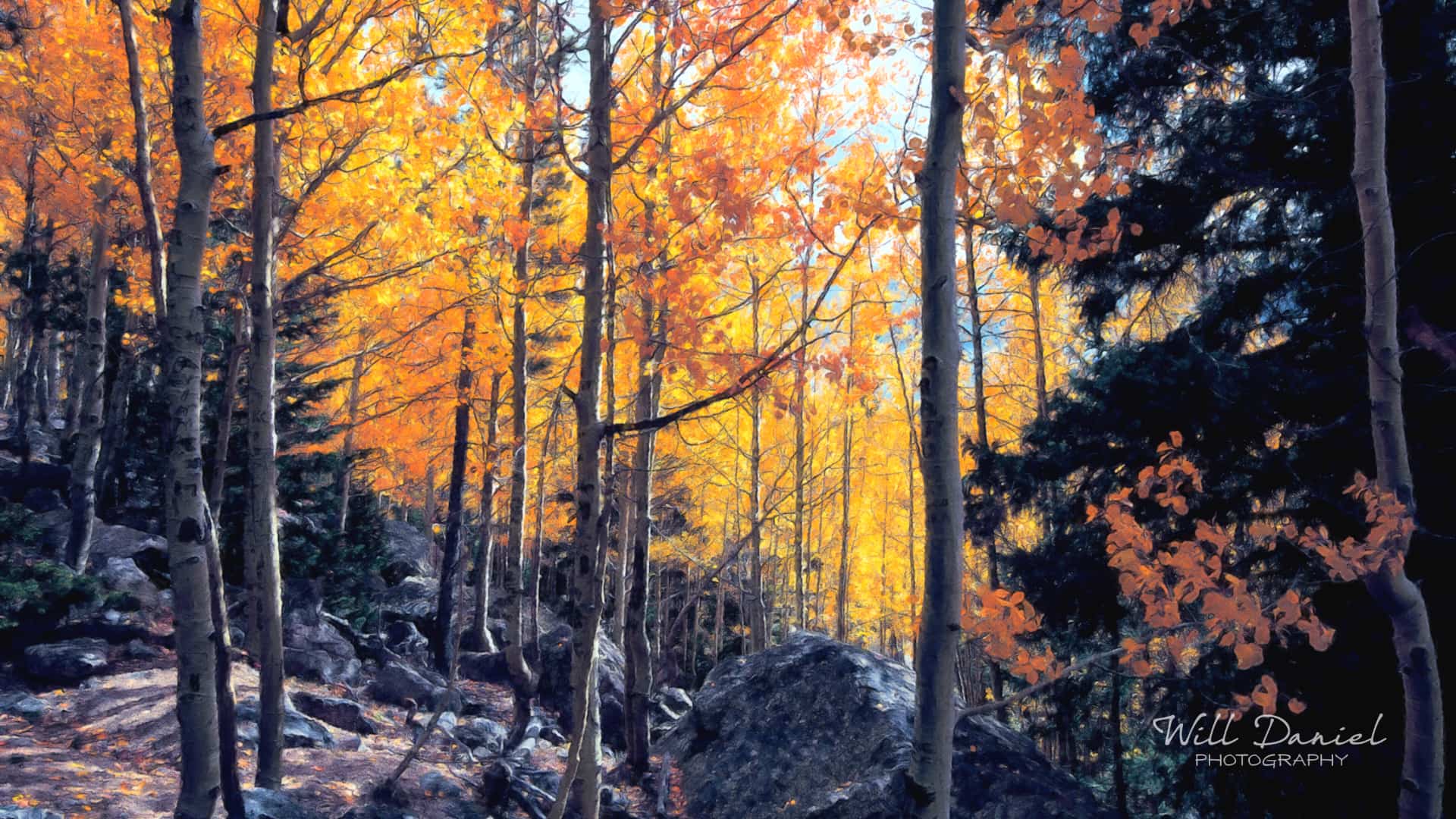 Colorado Remix Photos