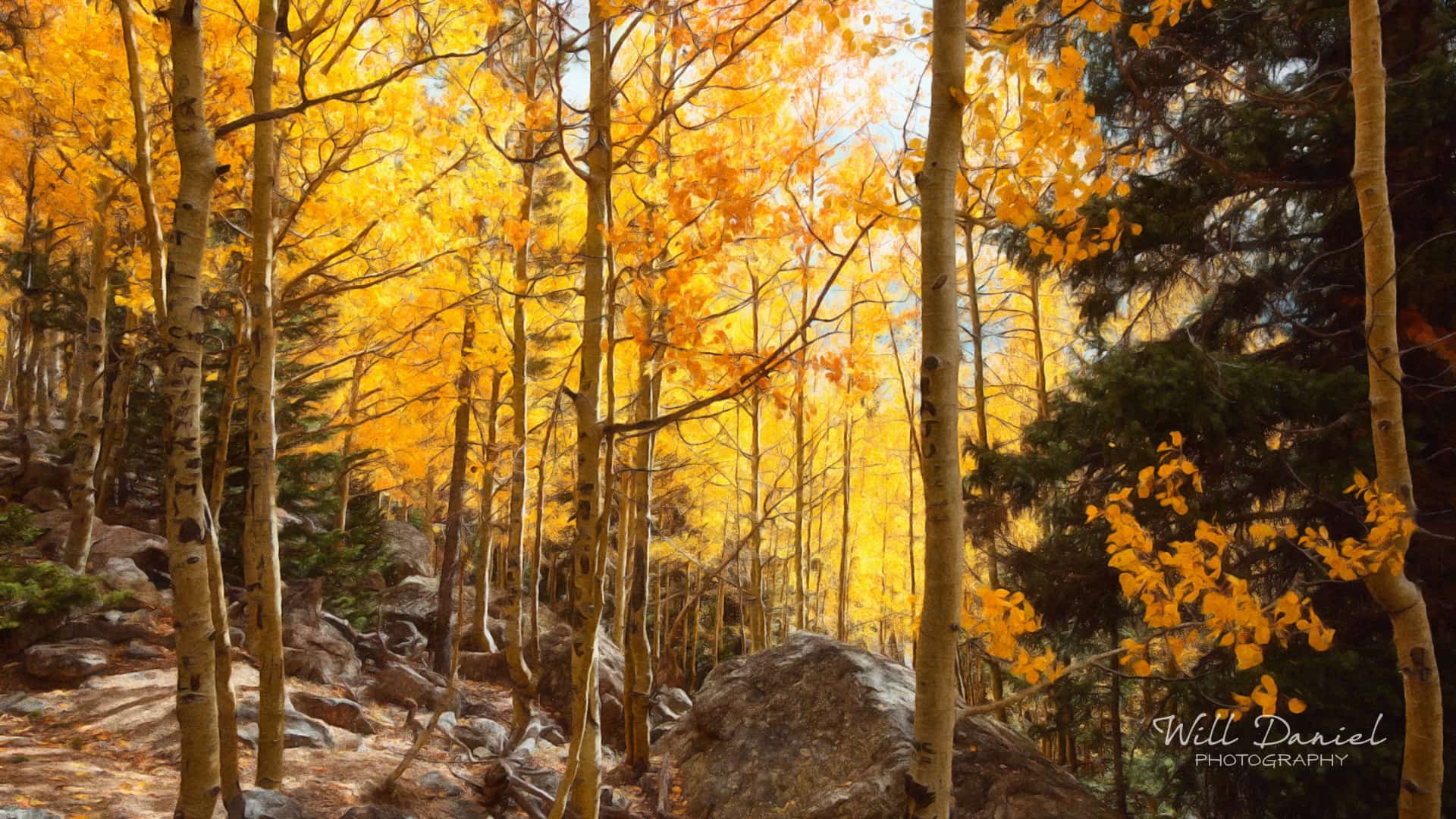 Colorado Remix Photos