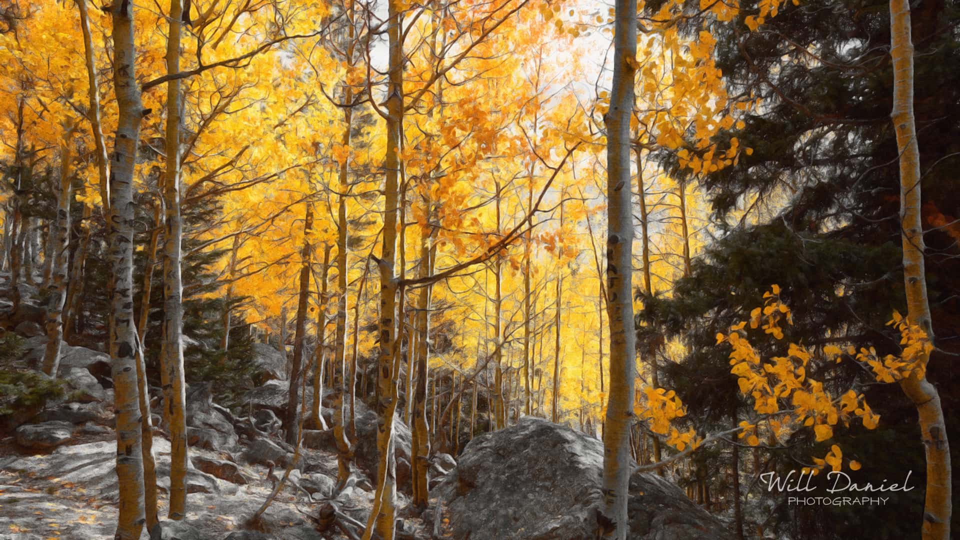 Colorado Remix Photos