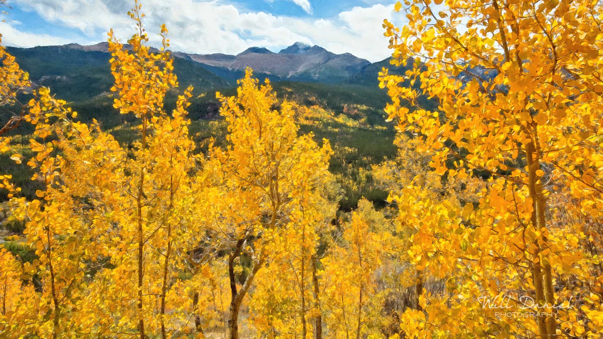 Colorado Remix Photos