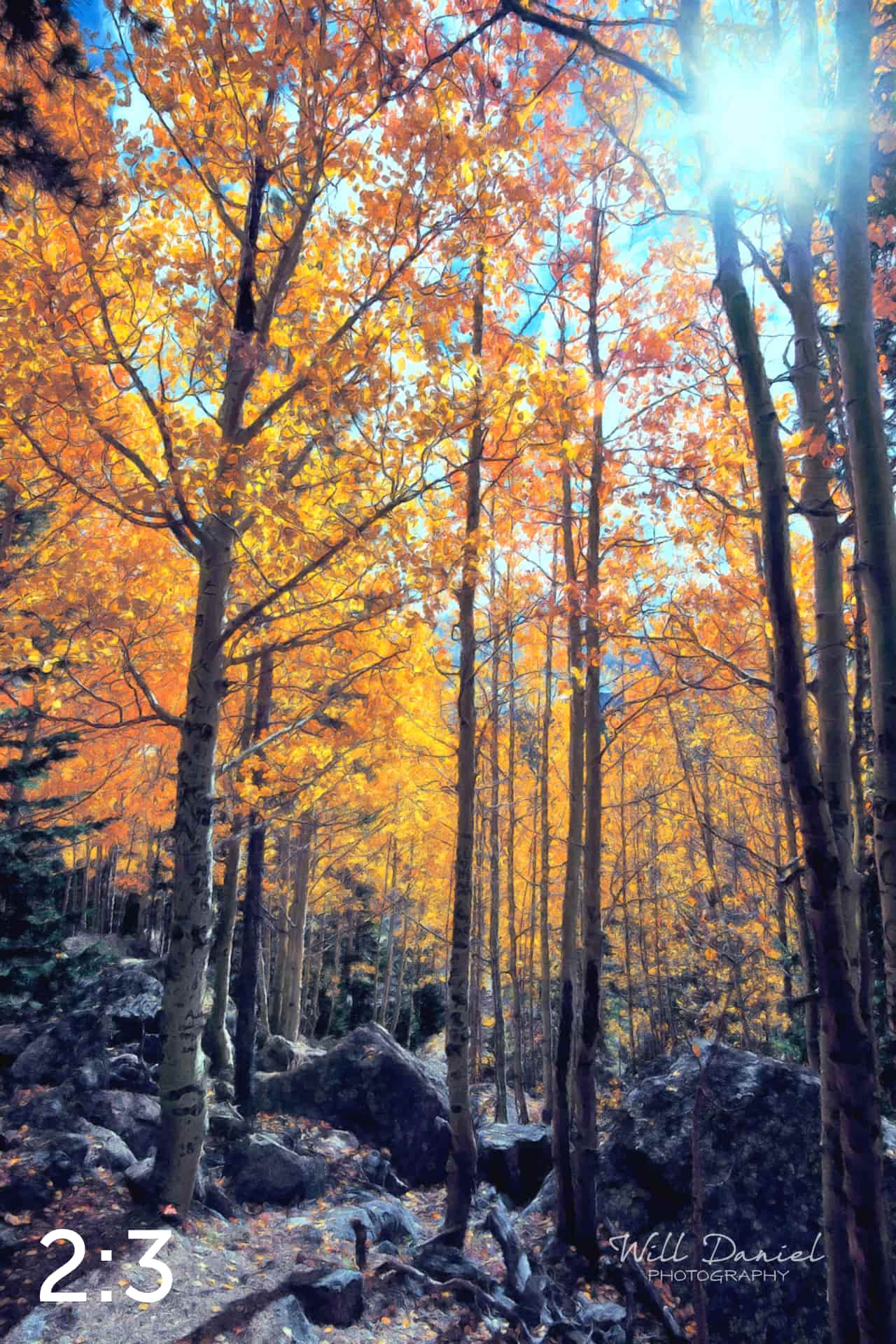 Rocky Mountain National Park 59600-O4vail