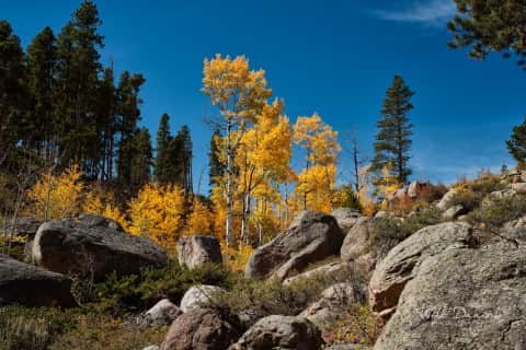 Rocky Mountain National Park 510853