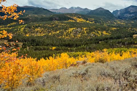 Rocky Mountain National Park 59976