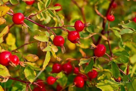 Rocky Mountain National Park 722691_G2