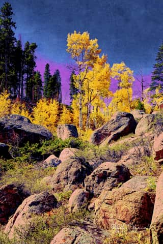 Rocky Mountain National Park 510857-I4amaranth