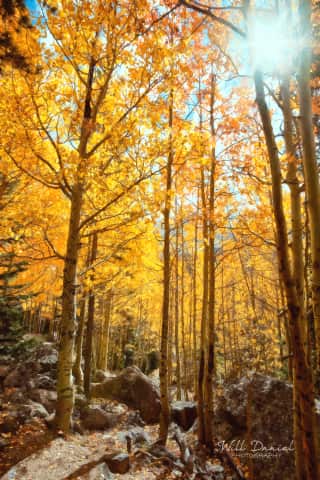 Rocky Mountain National Park 59600-O4