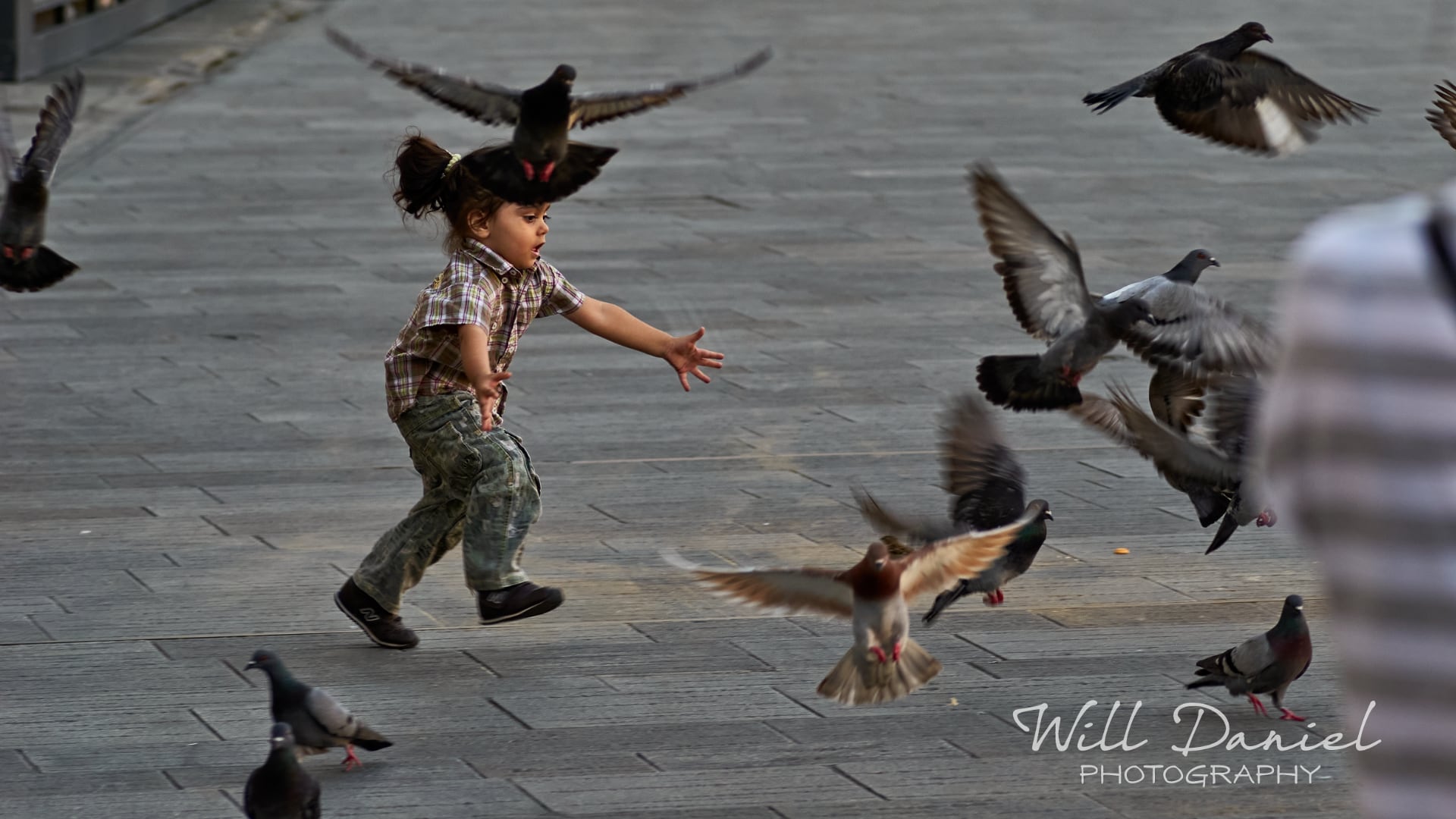 Italy Passing By Photos