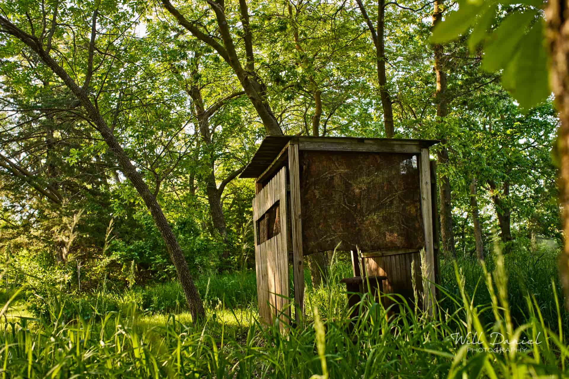 Dead Timber State Recreation Area 54532