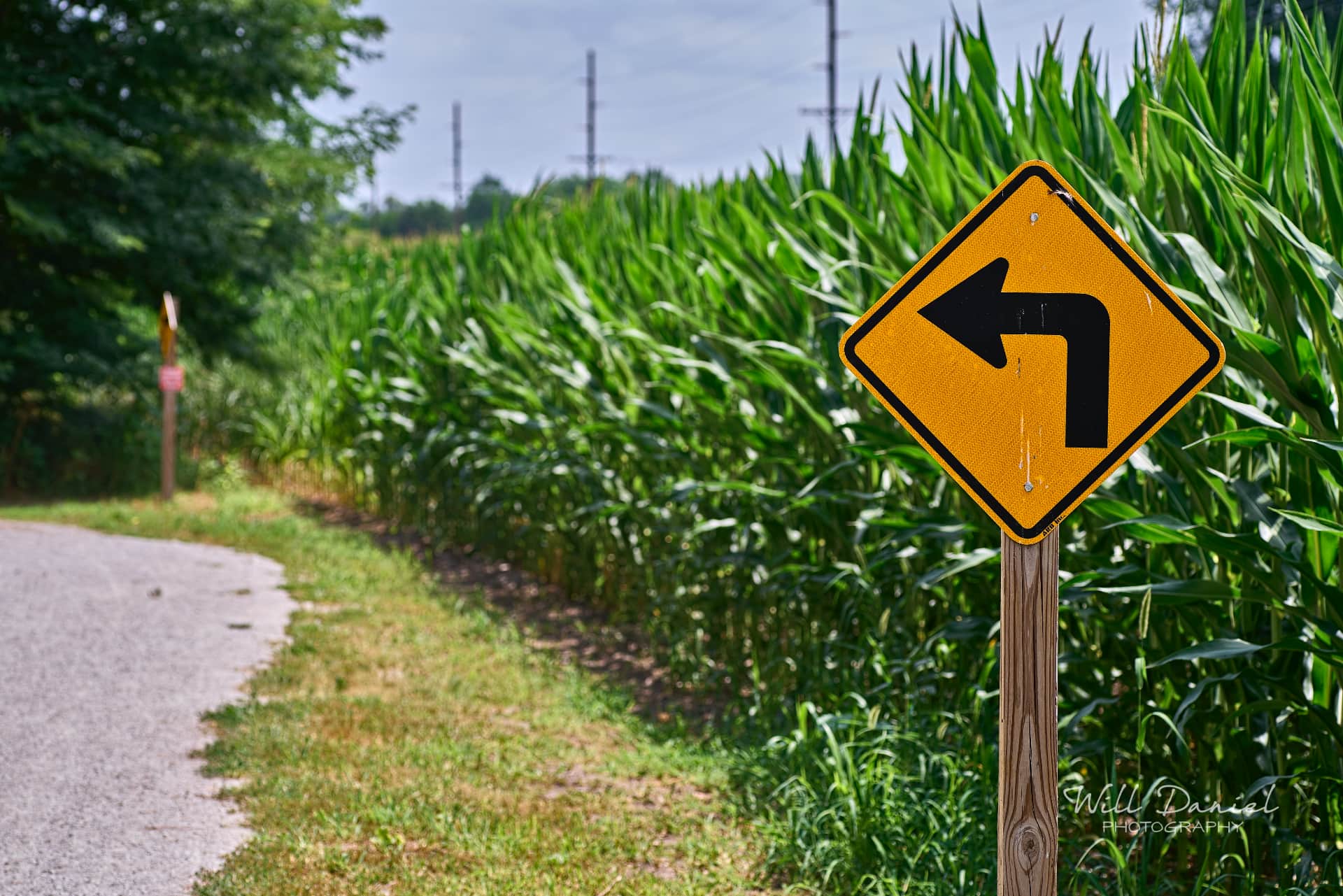 Lake Wanahoo Trail 712947